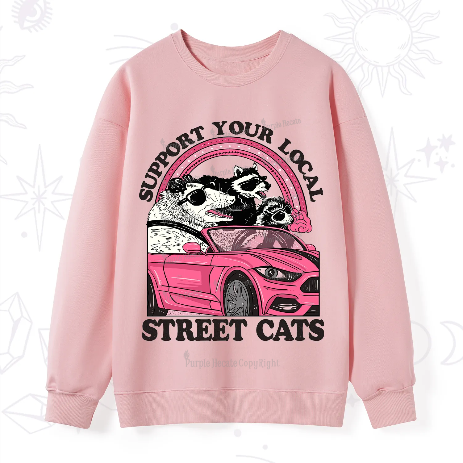 Purplehecate Support Local Street Cats Sweatshirt
