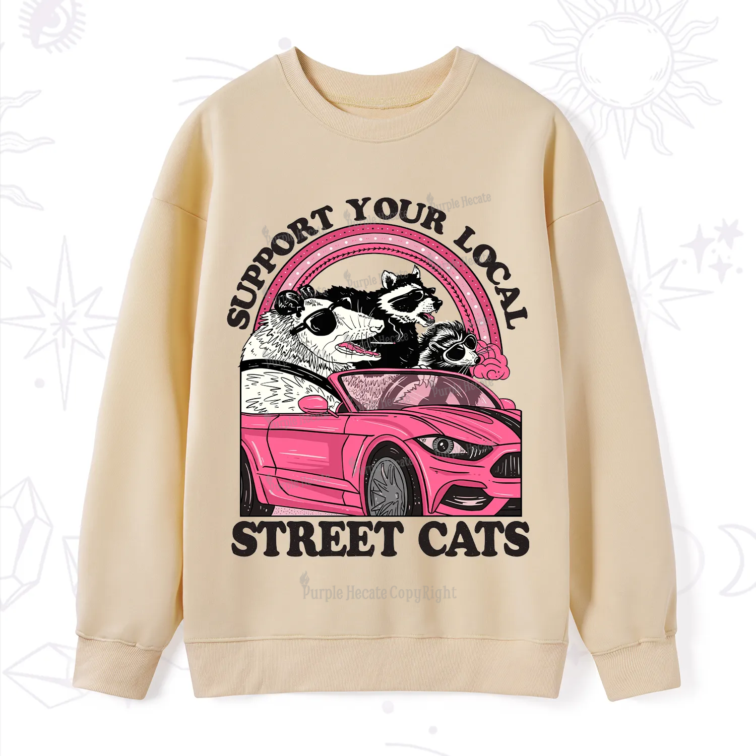 Purplehecate Support Local Street Cats Sweatshirt