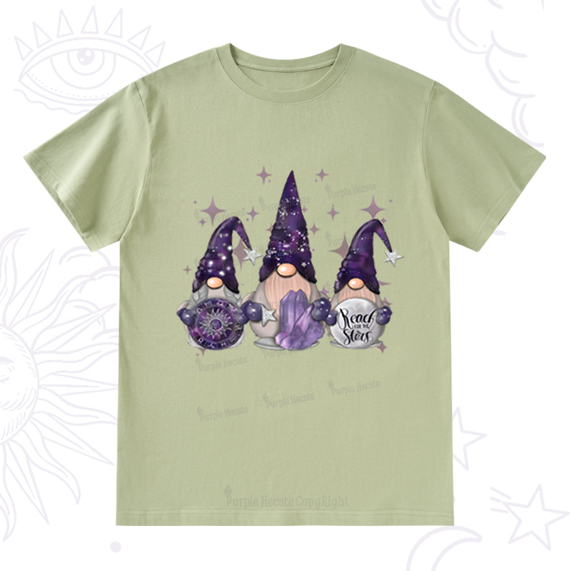 Purplehecate Christmas Cute Gnome T-Shirt