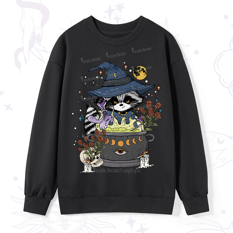 Alchemy Journey of the RaccoonSweatshirt