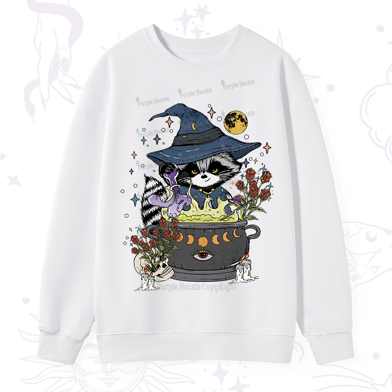 Alchemy Journey of the RaccoonSweatshirt