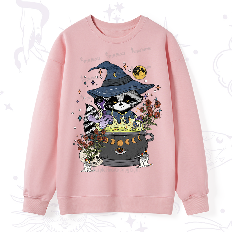 Alchemy Journey of the RaccoonSweatshirt