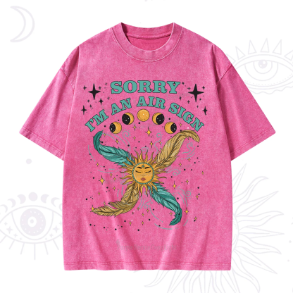 Purplehecate Sorry I'm An Air Sign Washed T-Shirt