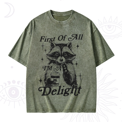 Purplehecate First Of All I'm A Delightful Funny Raccoon Washed T-Shirt