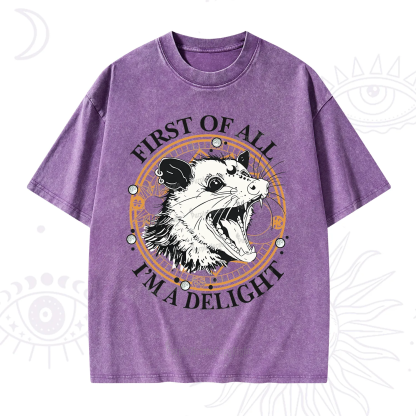 Purplehecate First Of All I Am A Delightful Angry Opossum Washed T-Shirt