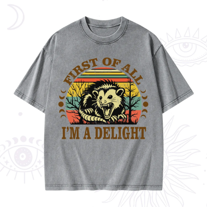 Purplehecate First Of All I'm A Delightful Opossum Washed T-Shirt