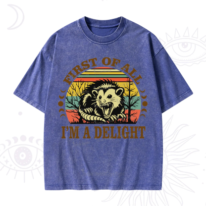 Purplehecate First Of All I'm A Delightful Opossum Washed T-Shirt