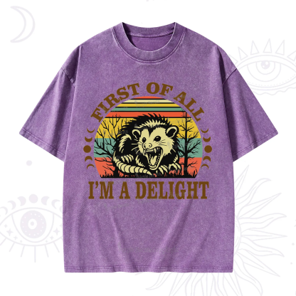 Purplehecate First Of All I'm A Delightful Opossum Washed T-Shirt