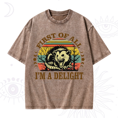 Purplehecate First Of All I'm A Delightful Opossum Washed T-Shirt