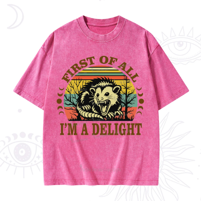 Purplehecate First Of All I'm A Delightful Opossum Washed T-Shirt