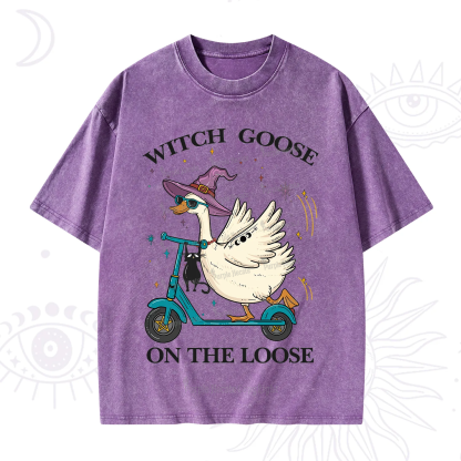 Purplehecate Witch Goose On The Loose Washed T-Shirt