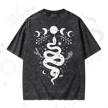 Purplehecate Snake And Moon Phase Comfort Washed T-Shirt