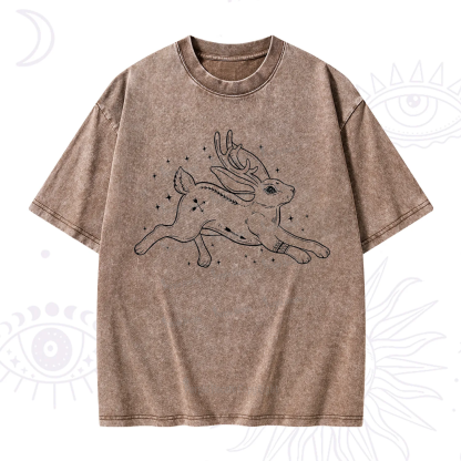 Purplehecate Starwitch Familiar Washed T-Shirt