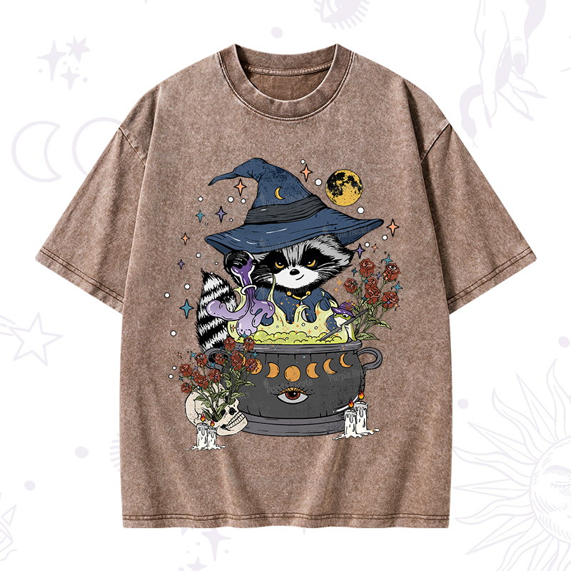 Alchemy Journey of the Raccoon Washed T-Shirt
