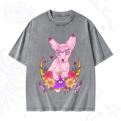 Purplehecate Moon Phase Cat Washed T-Shirt