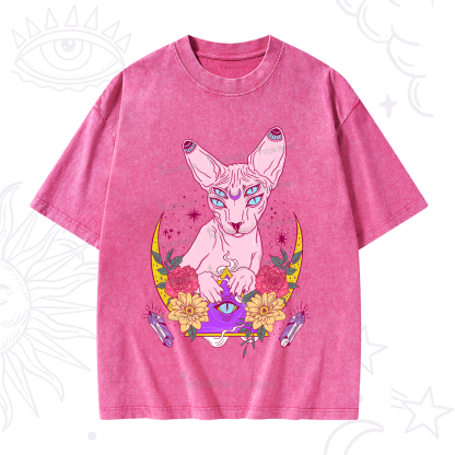 Purplehecate Moon Phase Cat Washed T-Shirt