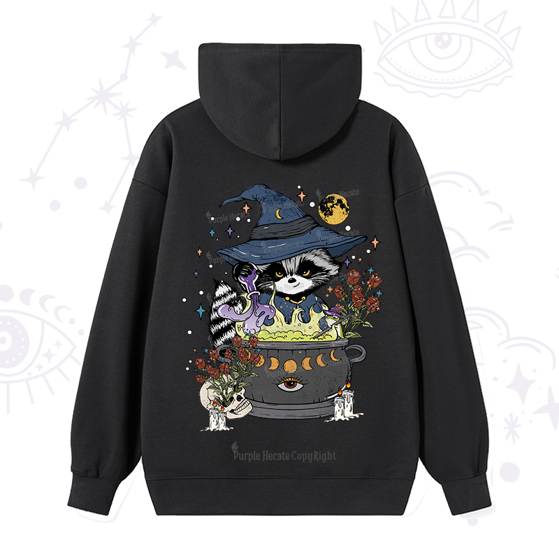 Alchemy Journey of the Raccoon Hoodie
