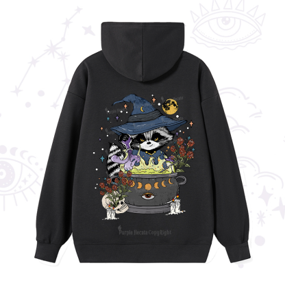 Alchemy Journey of the Raccoon Hoodie