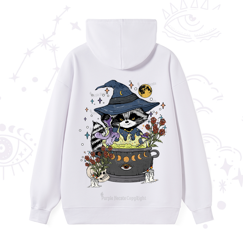 Alchemy Journey of the Raccoon Hoodie