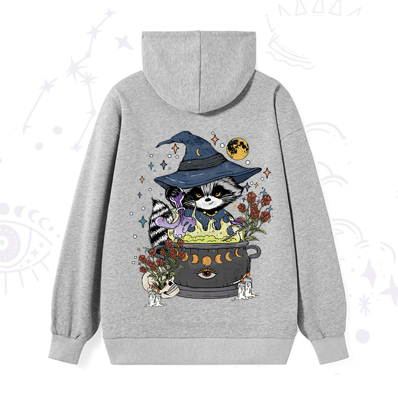 Alchemy Journey of the Raccoon Hoodie