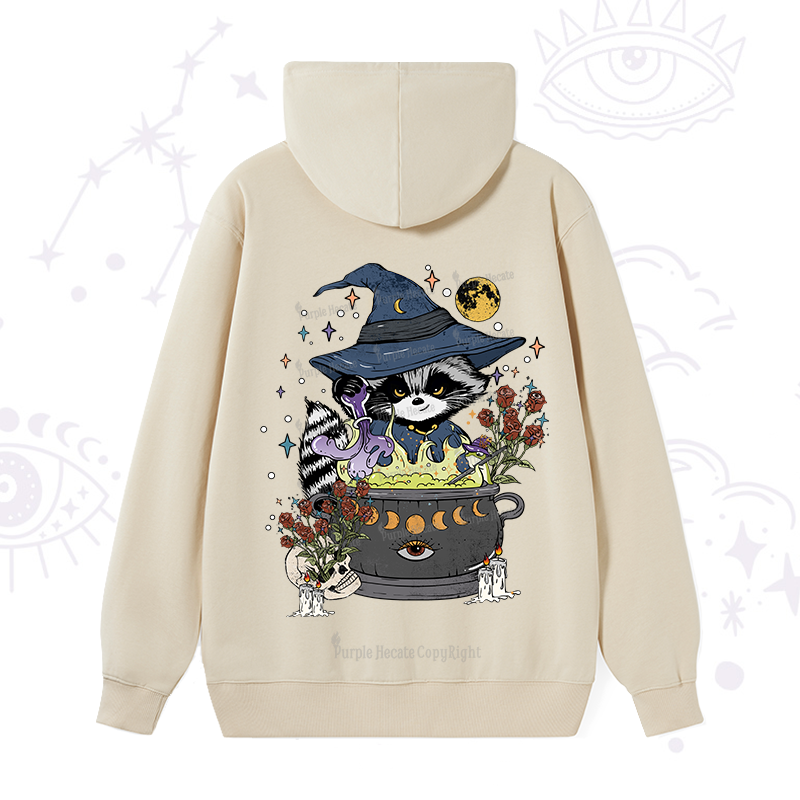 Alchemy Journey of the Raccoon Hoodie
