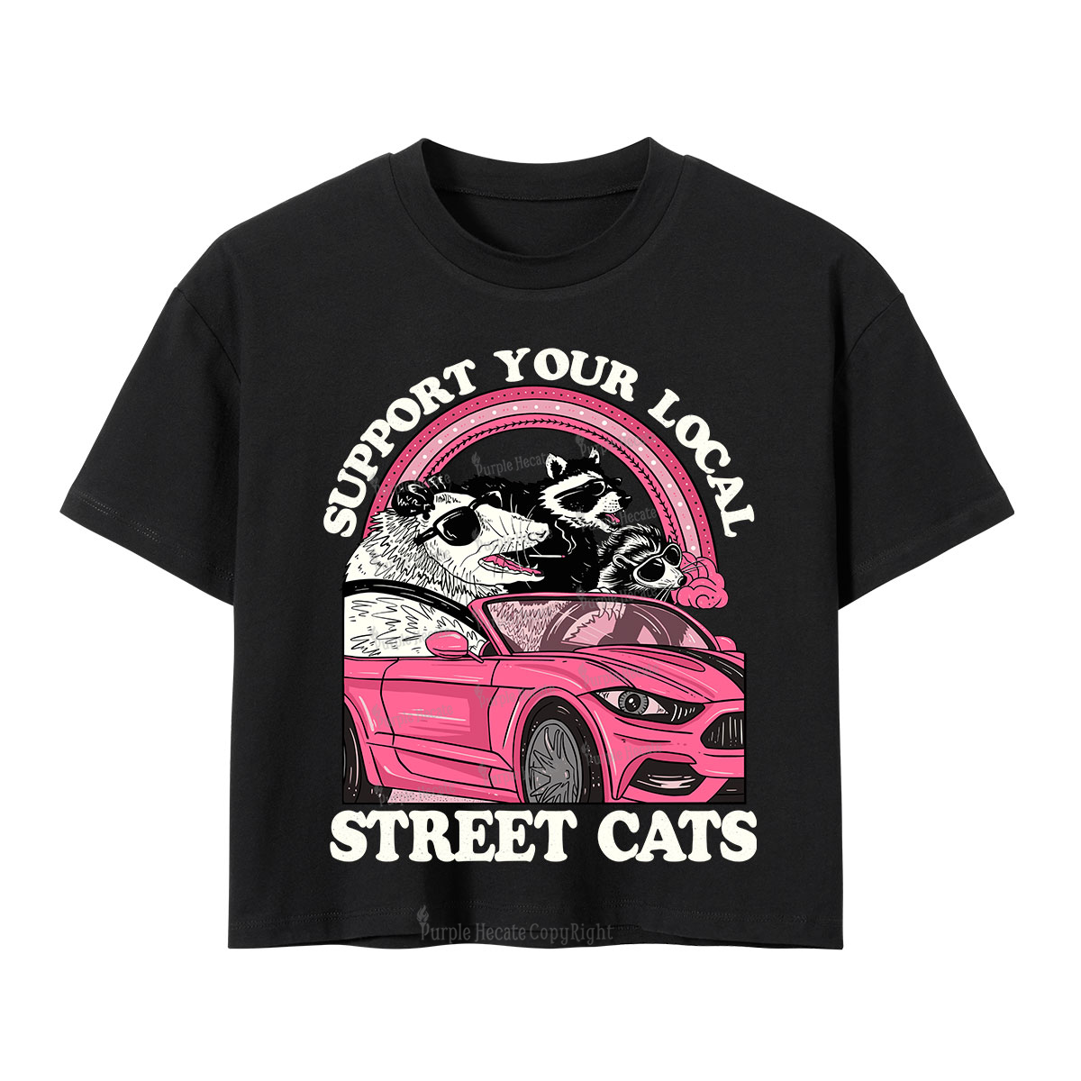 Purplehecate Support Local Street Cats Crop T-Shirt