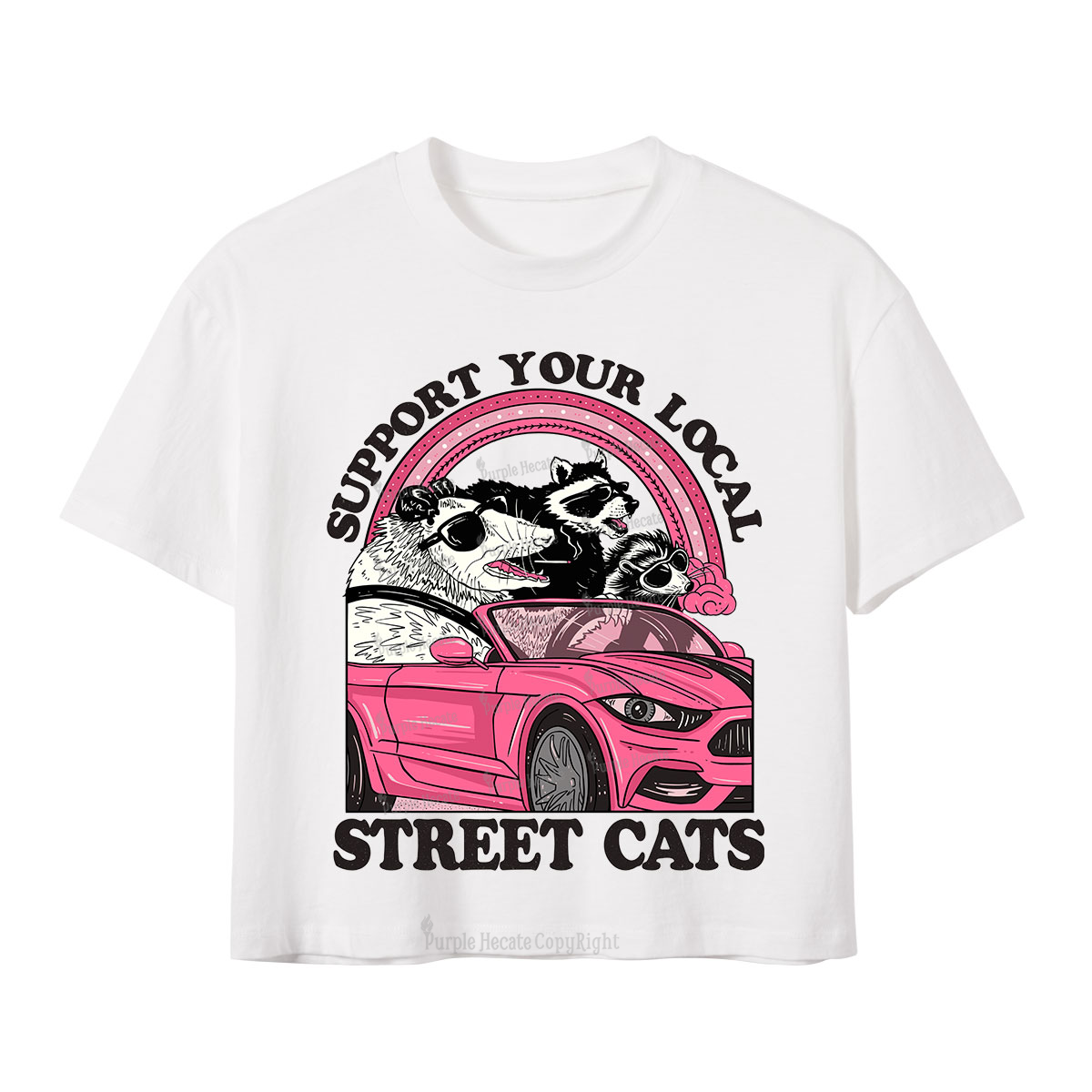 Purplehecate Support Local Street Cats Crop T-Shirt