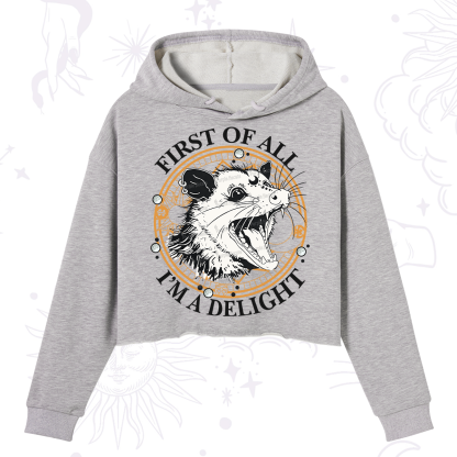 Purplehecate First Of All I Am A Delightful Angry Opossum Crop Hoodie