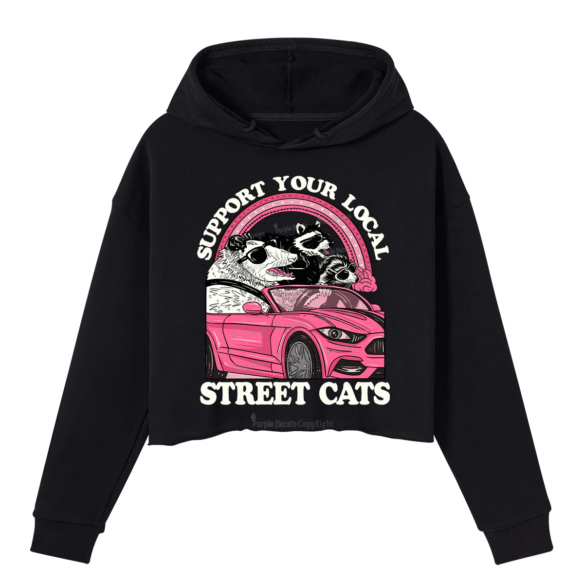 Purplehecate Support Local Street Cats Crop Hoodie