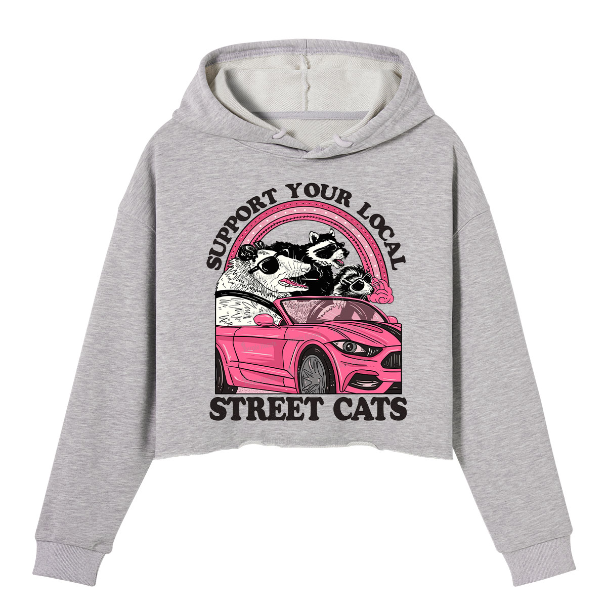Purplehecate Support Local Street Cats Crop Hoodie