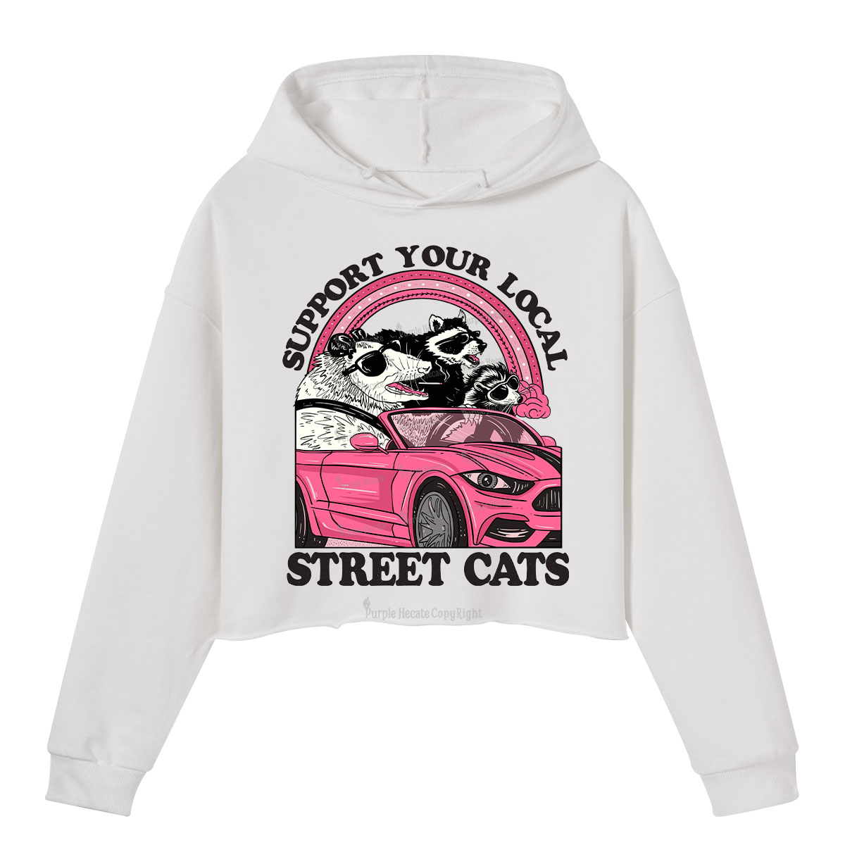 Purplehecate Support Local Street Cats Crop Hoodie