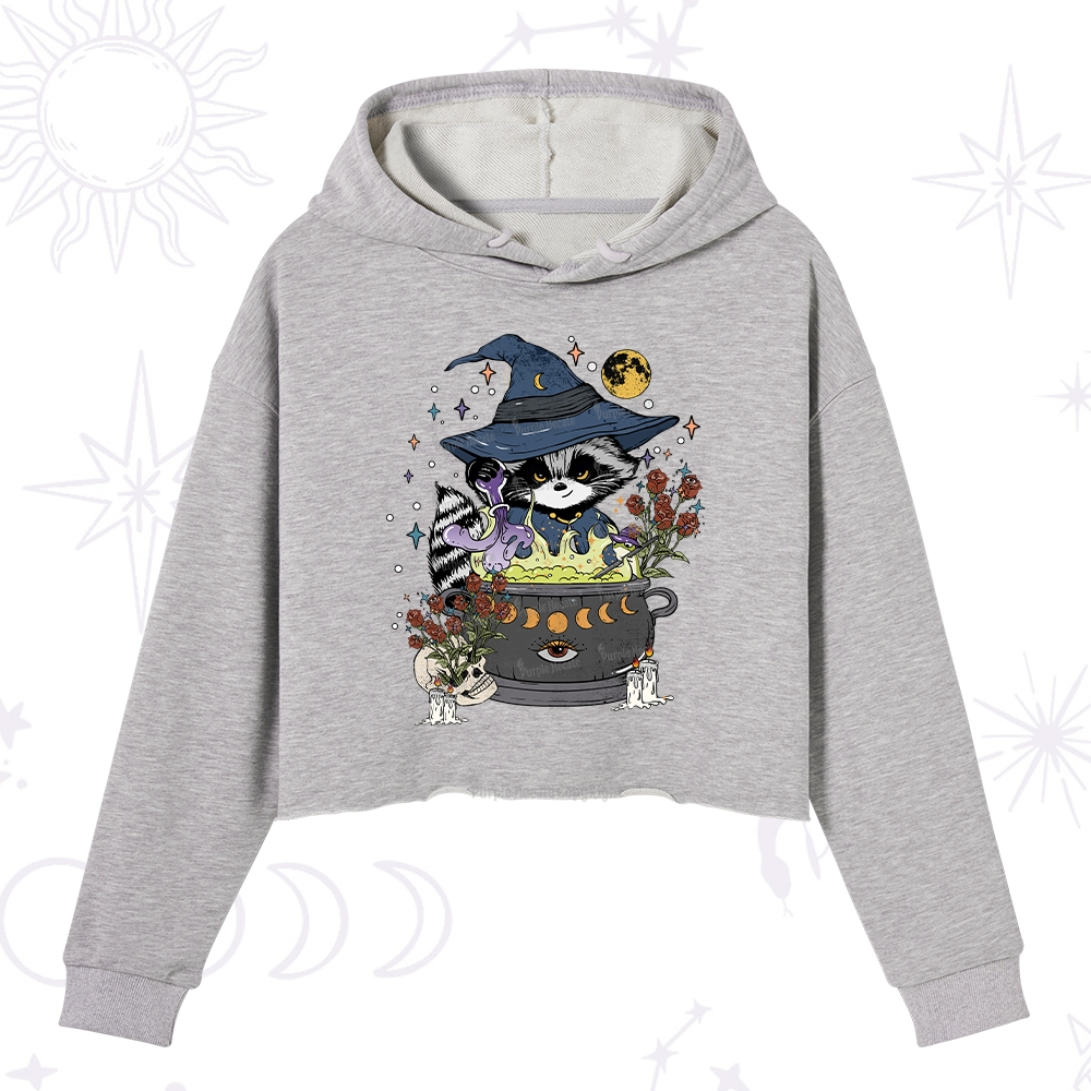 Purplehecate Alchemy Journey of the Raccoon Crop Hoodie