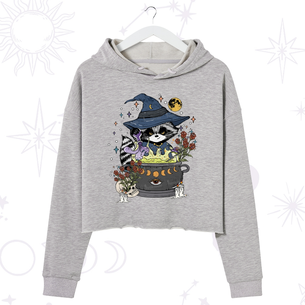 Purplehecate Alchemy Journey of the Raccoon Crop Hoodie