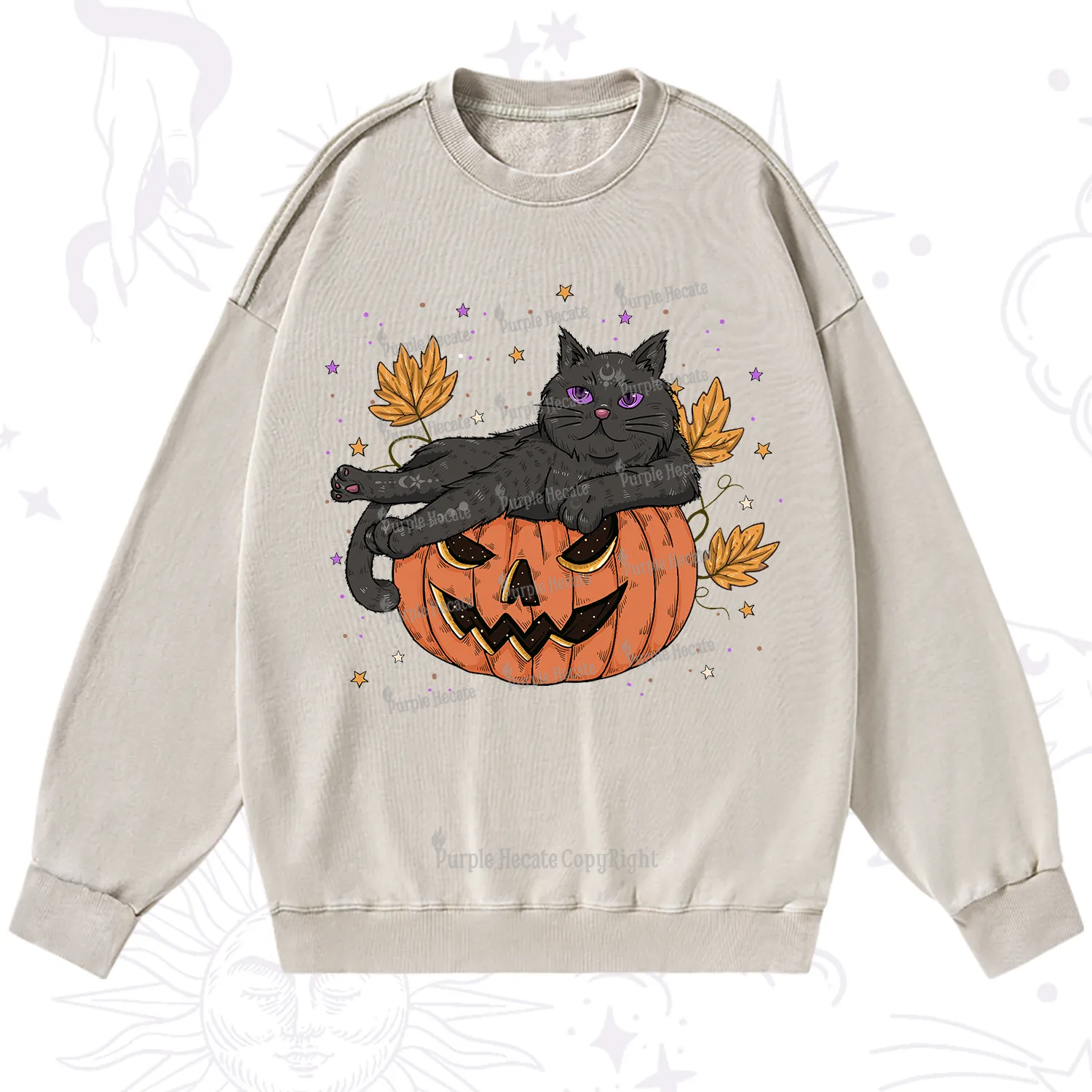 Purplehecate Pumpkin Throne of the Witch Cat Washed Sweatshirt