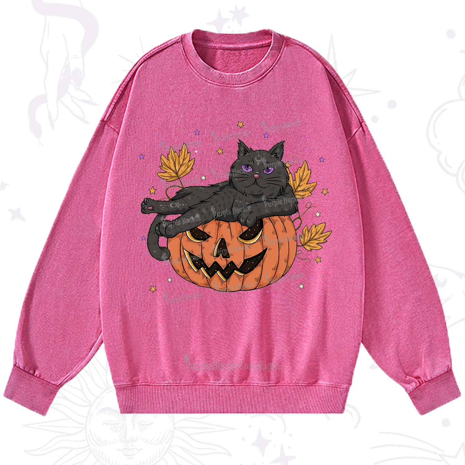 Purplehecate Pumpkin Throne of the Witch Cat Washed Sweatshirt