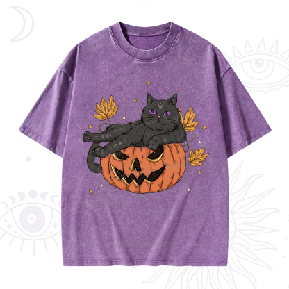 Purplehecate Pumpkin Throne of the Witch Cat Washed T-Shirt