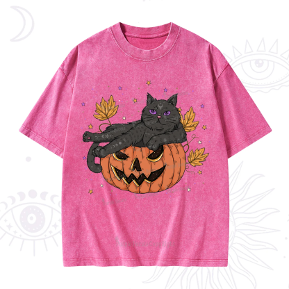 Purplehecate Pumpkin Throne of the Witch Cat Washed T-Shirt