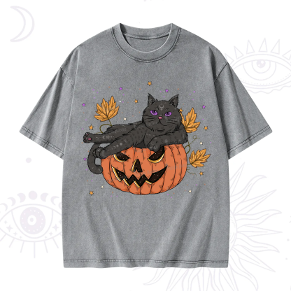 Purplehecate Pumpkin Throne of the Witch Cat Washed T-Shirt