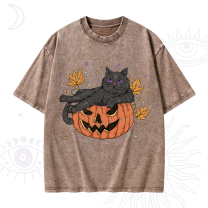Purplehecate Pumpkin Throne of the Witch Cat Washed T-Shirt