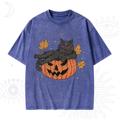 Purplehecate Pumpkin Throne of the Witch Cat Washed T-Shirt