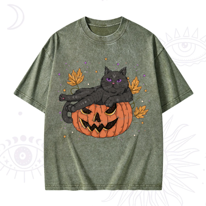 Purplehecate Pumpkin Throne of the Witch Cat Washed T-Shirt