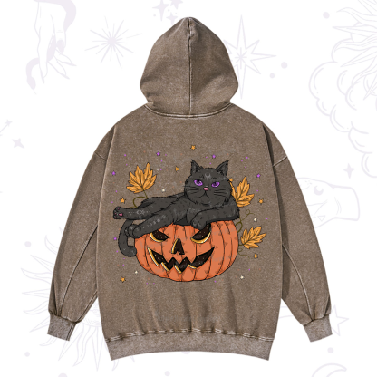 Purplehecate Pumpkin Throne of the Witch Cat Washed Hoodie