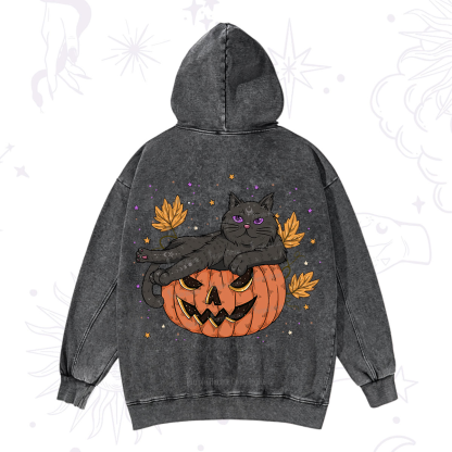 Purplehecate Pumpkin Throne of the Witch Cat Washed Hoodie