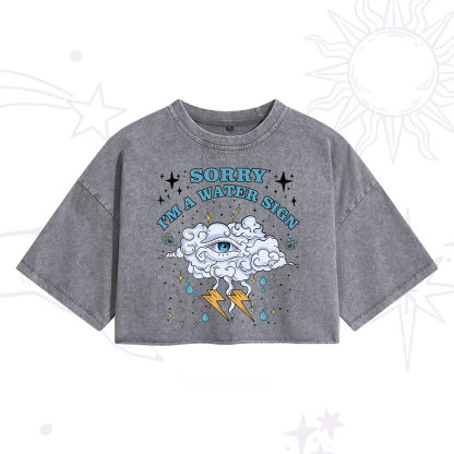 Purplehecate Sorry I'm A Water Sign Washed Cropped T-Shirt