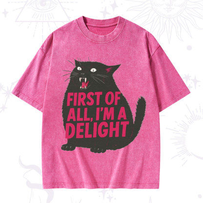Purplehecate First Of All I'm A Delight Cat Washed T-Shirt