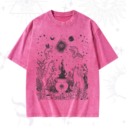 Purplehecate Midnight Meowgic Moon Ritual Washed T-Shirt