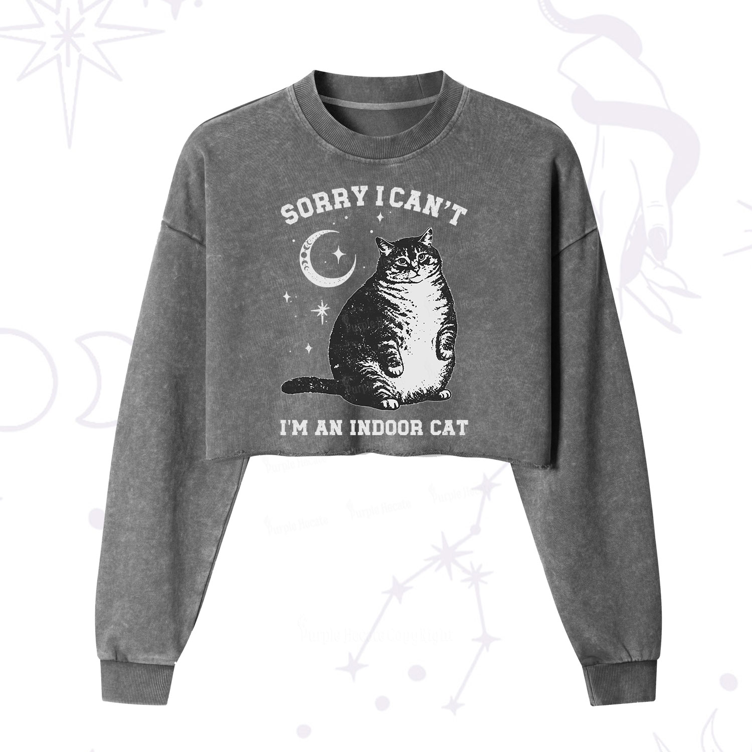 Purplehecate Sorry I Can't Go I'm an Indoor Cat Cropped Washed Sweatshirt