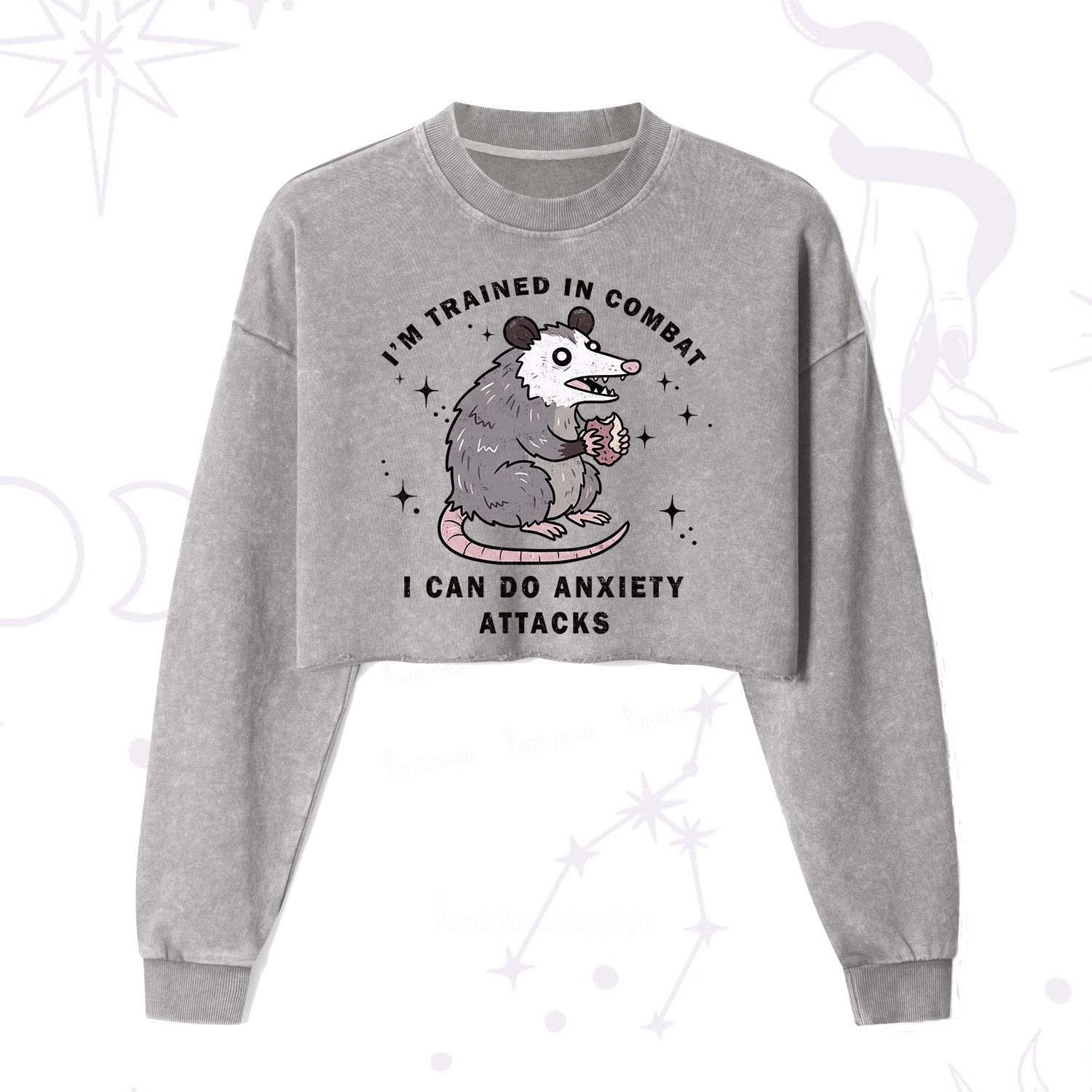 Purplehecate Anixety Attack Opossum Cropped Washed Sweatshirt