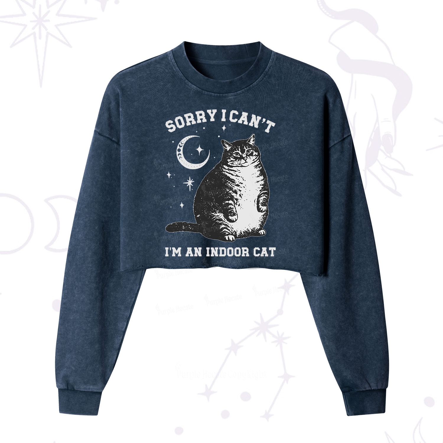 Purplehecate Sorry I Can't Go I'm an Indoor Cat Cropped Washed Sweatshirt