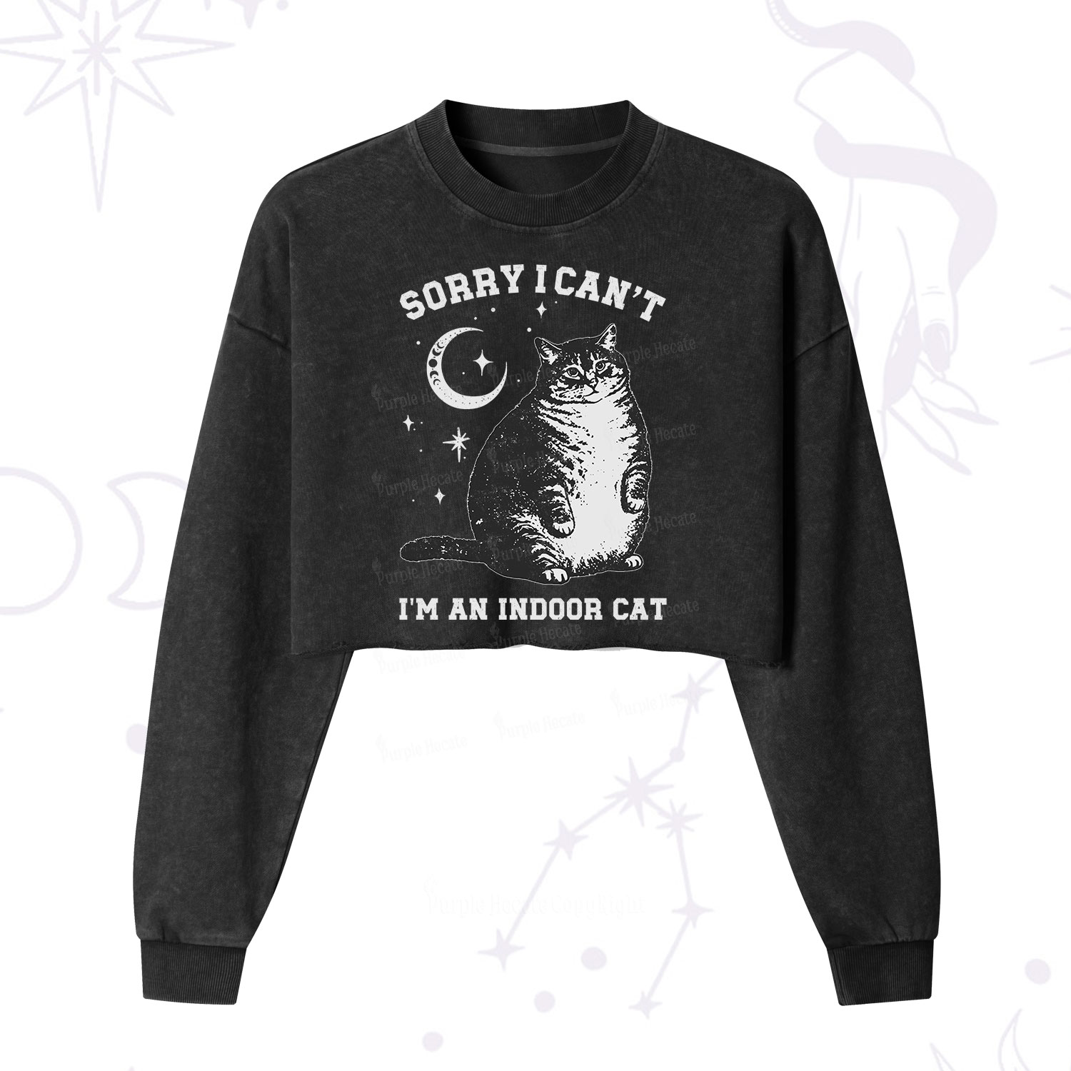 Purplehecate Sorry I Can't Go I'm an Indoor Cat Cropped Washed Sweatshirt